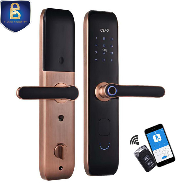 High Security Anti-Peep Code Fingerprint Door Handle WiFi APP Intelligent  Digital Smart Door Lock - China Smart Lock, Smart Door Lock
