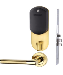 Five-latch ANSI standard mortise onity hotel door lock ES3097-G